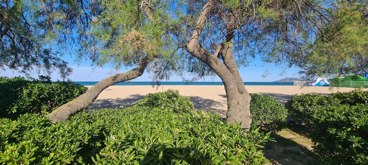 Hotel Le Maritime Argelès-sur-Mer Εξωτερικό φωτογραφία