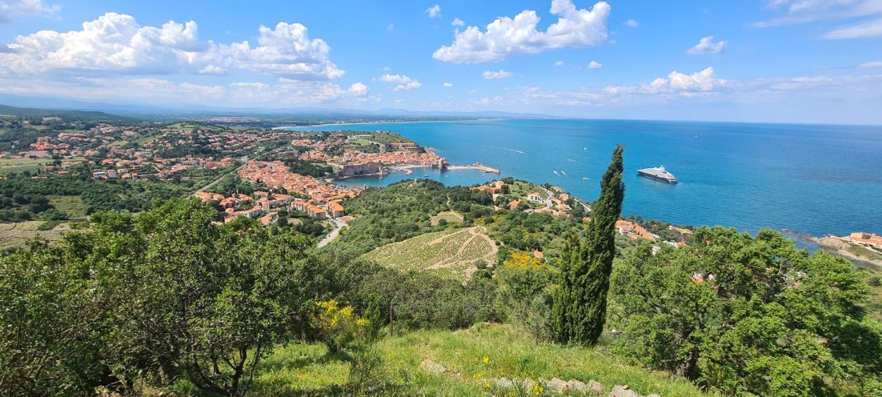 Hotel Le Maritime Argelès-sur-Mer Εξωτερικό φωτογραφία